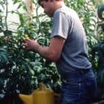 Brian working in greenhouse