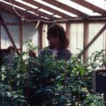 Anita working in greenhouse