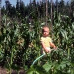 Carrie in garden with corn plants