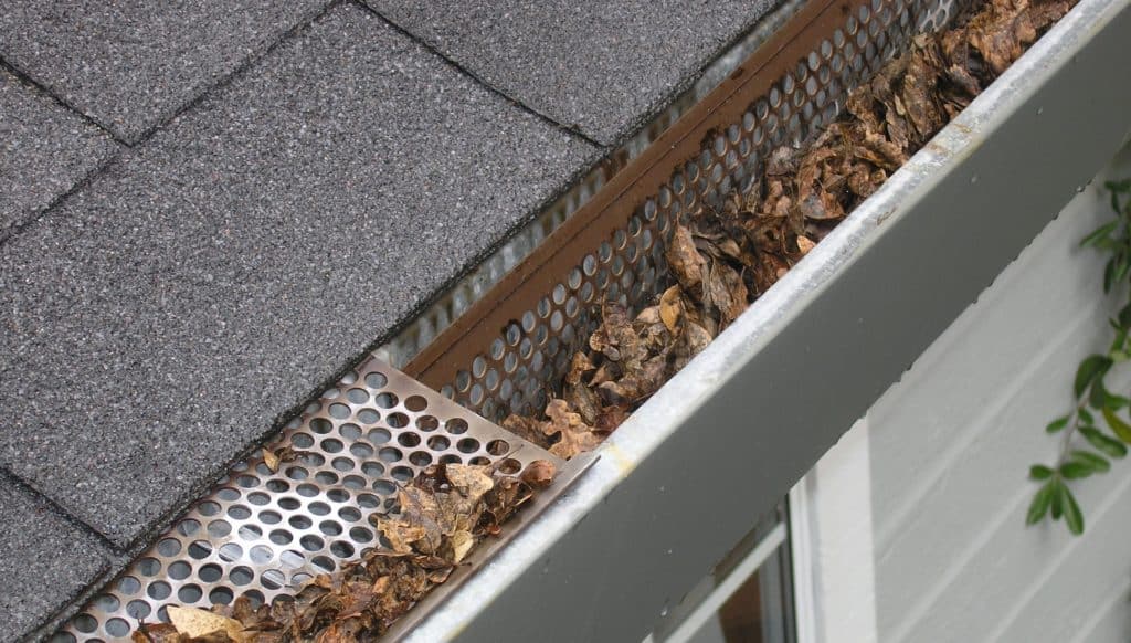 Roof and gutter