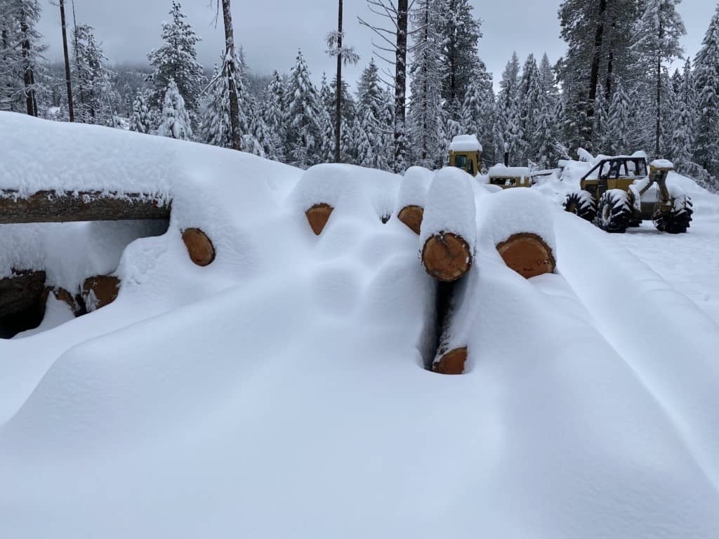 snow-covered logs